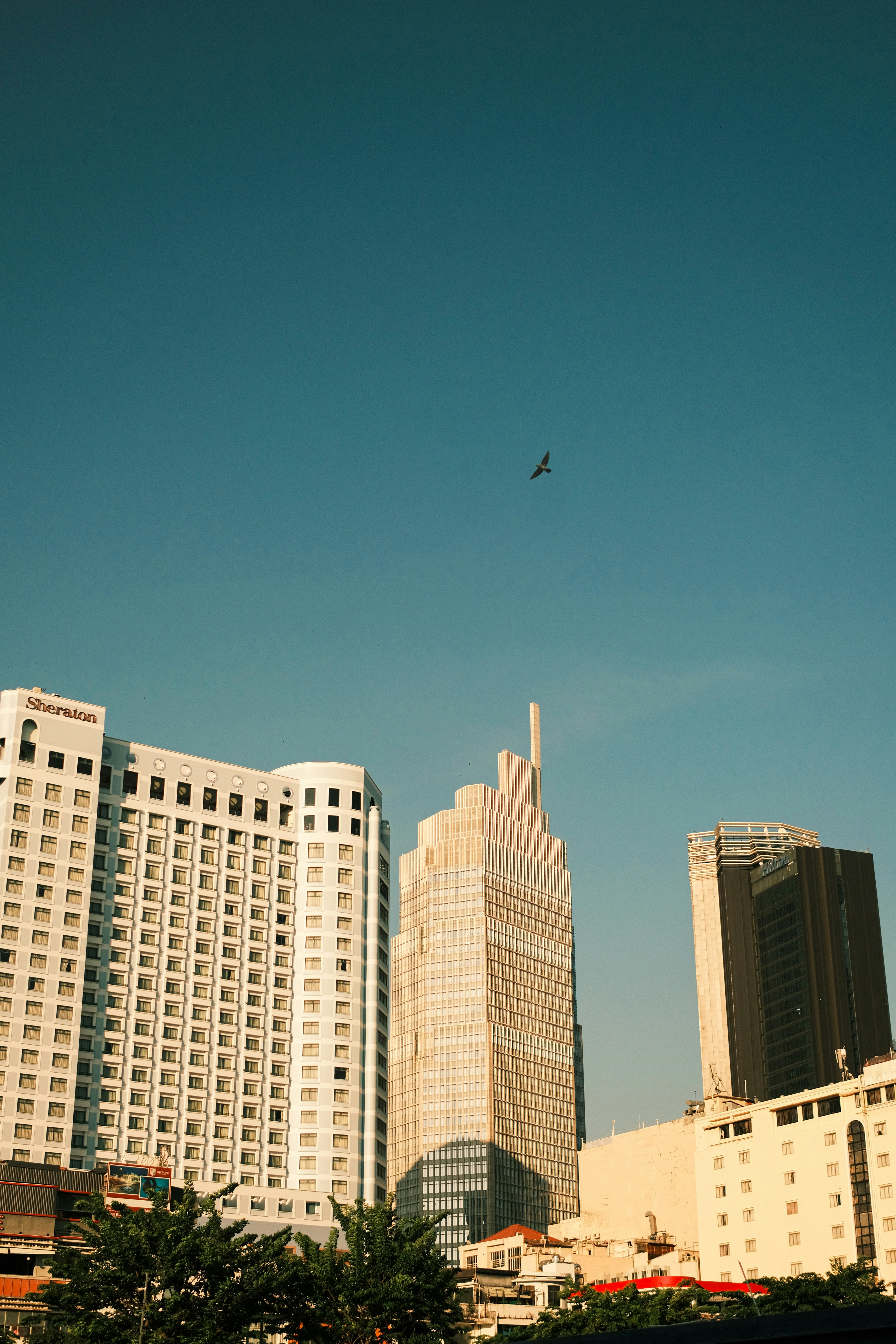 truog-dieu-8wmEk0o_Xt4-unsplash